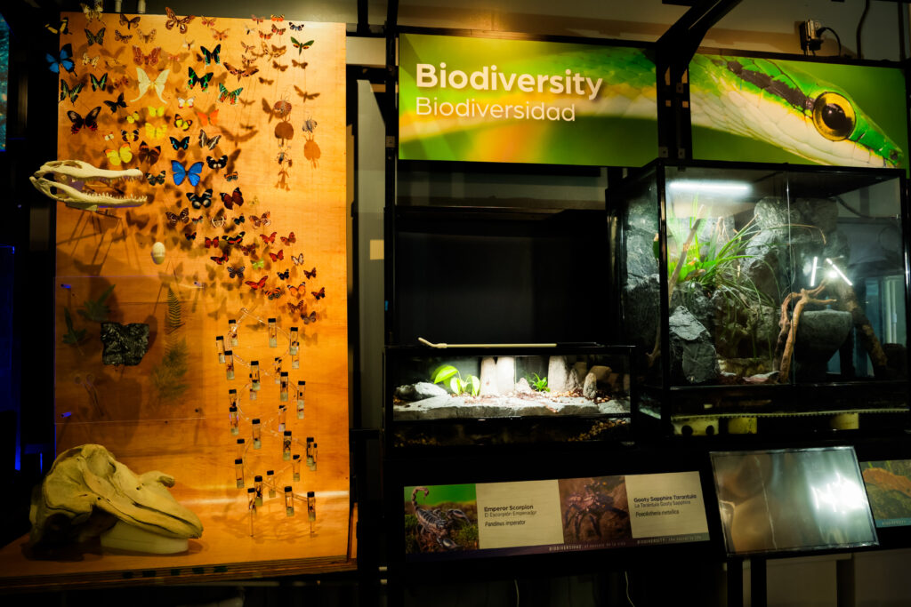Living Planet Lab