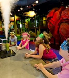 Discovery Place Kids – Rockingham