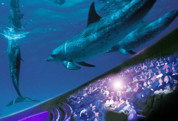 Charlotte IMAX Dome Theatre