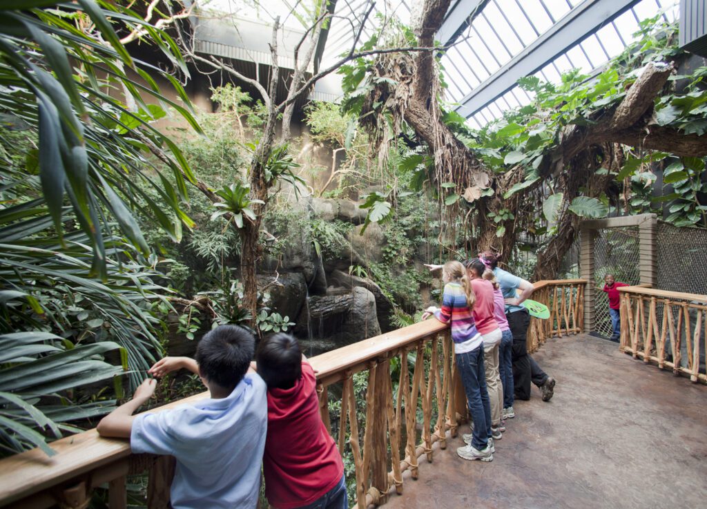 Aquarium exhibit